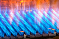 Bowridge Hill gas fired boilers